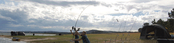 CM Portugalia - 2013 (8) - 0005.gif